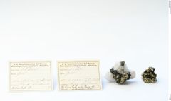 Foto von Gold (NHMW-MIN-Ai637)